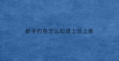 新手钓鱼怎么知道上没上鱼(钓鱼怎么才能知道鱼上钩了)