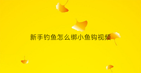 “新手钓鱼怎么绑小鱼钩视频(绑小鱼钩最简单的方法)