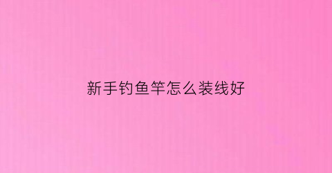 新手钓鱼竿怎么装线好(新手钓鱼竿怎么组装)