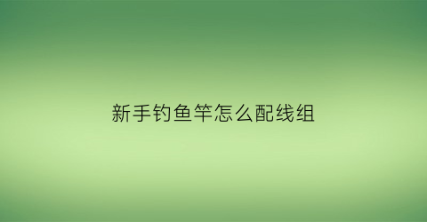 新手钓鱼竿怎么配线组(新手钓竿线组组装图解)