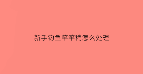 新手钓鱼竿竿稍怎么处理(新买的鱼竿竿稍怎么加固)