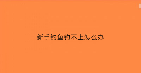 新手钓鱼钓不上怎么办(新手钓鱼总是钓不到鱼)