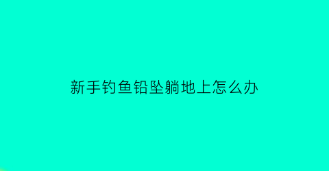 新手钓鱼铅坠躺地上怎么办(钓鱼铅坠落地还是悬浮着)