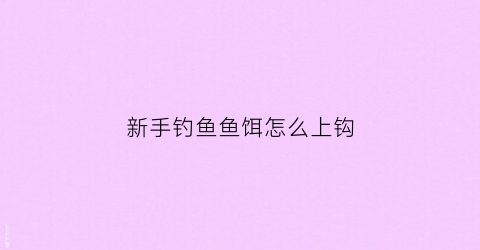 新手钓鱼鱼饵怎么上钩(饵料怎么上鱼钩)