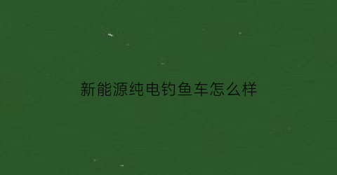 新能源纯电钓鱼车怎么样(新能源纯电钓鱼车怎么样啊)
