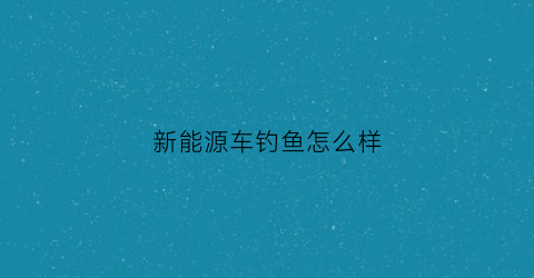 “新能源车钓鱼怎么样(新能源车能漂移吗)