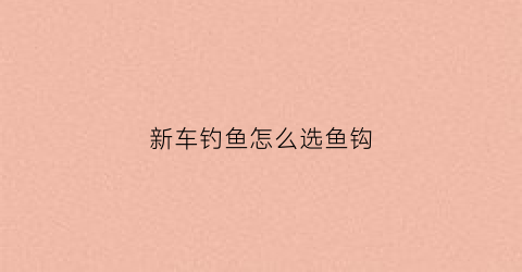 新车钓鱼怎么选鱼钩(新车技巧)