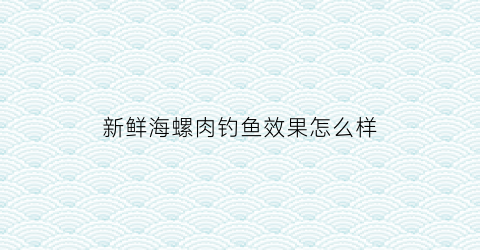 新鲜海螺肉钓鱼效果怎么样(新鲜海螺肉钓鱼效果怎么样视频)
