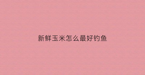 新鲜玉米怎么最好钓鱼(新鲜玉米钓饵制作方法)