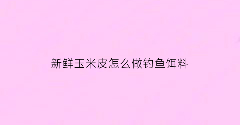 “新鲜玉米皮怎么做钓鱼饵料(鲜玉米皮手工制作图片)