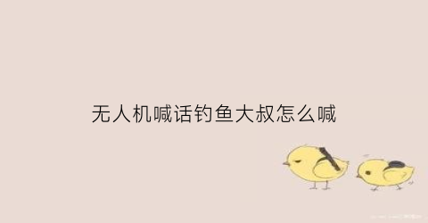 无人机喊话钓鱼大叔怎么喊(无人机喊话钓鱼大叔怎么喊的)