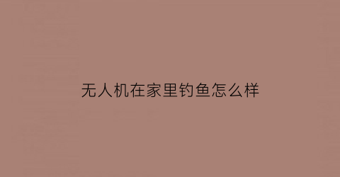 无人机在家里钓鱼怎么样(无人机可以打窝吗)