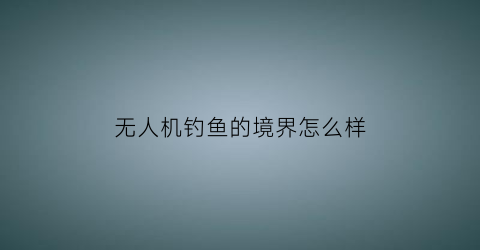 无人机钓鱼的境界怎么样(无人机钓鱼多少钱一台)