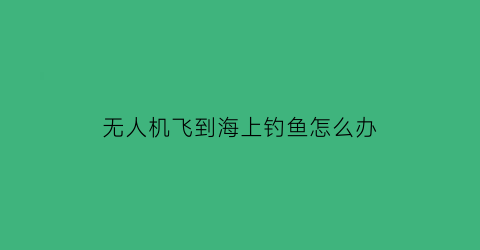 无人机飞到海上钓鱼怎么办(无人机在海上能飞吗)