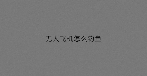 无人飞机怎么钓鱼(无人飞机怎么玩视频)