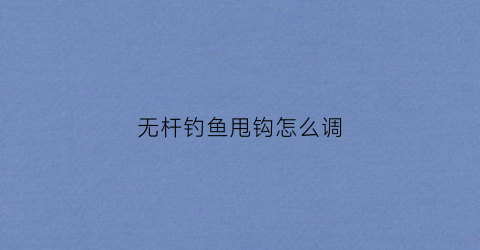 无杆钓鱼甩钩怎么调(无杆钓鱼法)