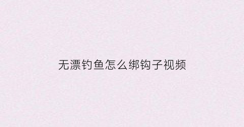 无漂钓鱼怎么绑钩子视频(无漂钓组)