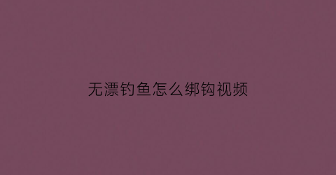 无漂钓鱼怎么绑钩视频(无漂钓组详解)