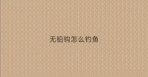无铅钩怎么钓鱼(无铅钩怎么钓鱼视频)