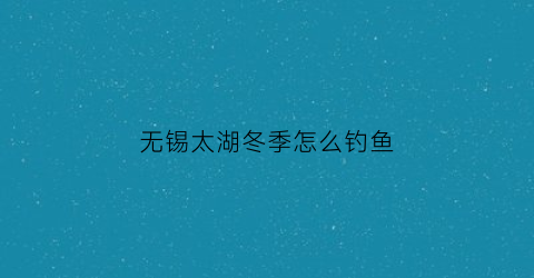 无锡太湖冬季怎么钓鱼(无锡太湖野钓具体地点)