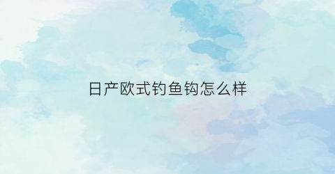 日产欧式钓鱼钩怎么样(日产欧式钓鱼钩怎么样好用吗)