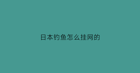 “日本钓鱼怎么挂网的(日本钓鱼装备)