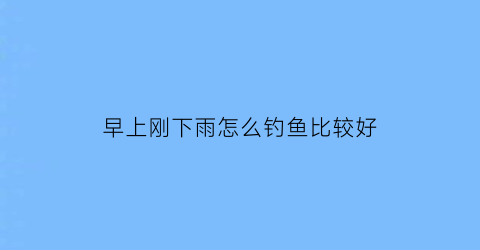 早上刚下雨怎么钓鱼比较好