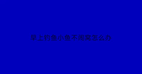 “早上钓鱼小鱼不闹窝怎么办(早上怎么钓不到鱼)