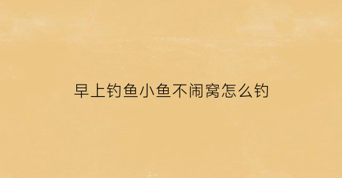 早上钓鱼小鱼不闹窝怎么钓(早上钓鱼不开口怎么办)