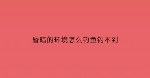 “昏暗的环境怎么钓鱼钓不到(昏暗的环境怎么钓鱼钓不到鱼)