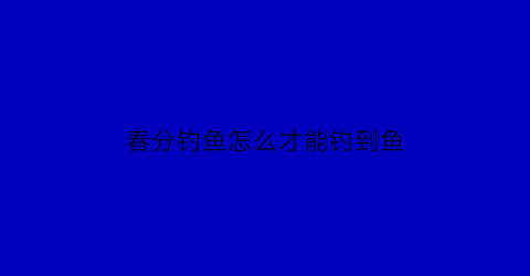 春分钓鱼怎么才能钓到鱼