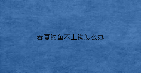 春夏钓鱼不上钩怎么办(春季钓鱼不咬钩)