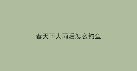 “春天下大雨后怎么钓鱼(春天下大雨后怎么钓鱼最好)