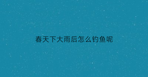 “春天下大雨后怎么钓鱼呢(春天下大雨后适合钓鱼吗)