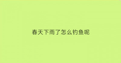 春天下雨了怎么钓鱼呢