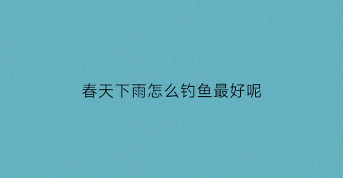 春天下雨怎么钓鱼最好呢(春天下雨如何钓鱼)
