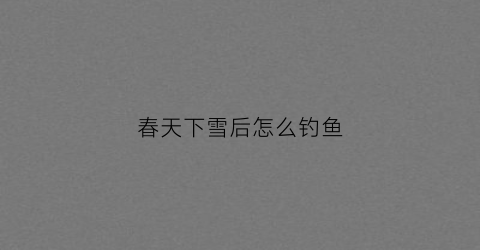 春天下雪后怎么钓鱼(春天下雪后怎么钓鱼最好)