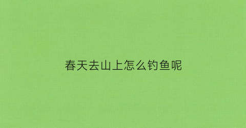 春天去山上怎么钓鱼呢(山上钓鱼图片)
