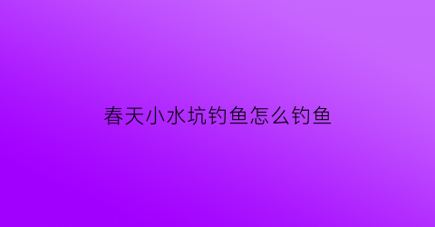 春天小水坑钓鱼怎么钓鱼(小水坑的坑)