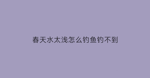 “春天水太浅怎么钓鱼钓不到(春天浅水钓鱼技巧)