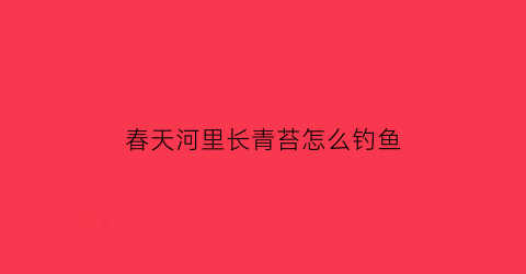 春天河里长青苔怎么钓鱼(河里长满青苔是什么天气)