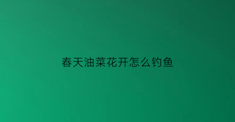 春天油菜花开怎么钓鱼(油菜花开钓鲤鱼)