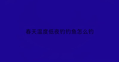 春天温度低夜钓钓鱼怎么钓