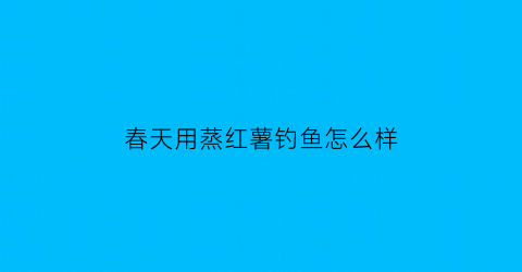 春天用蒸红薯钓鱼怎么样(春天用蒸红薯钓鱼怎么样好钓吗)