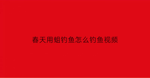 春天用蛆钓鱼怎么钓鱼视频