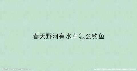 春天野河有水草怎么钓鱼(河里有水草怎么钓鱼)