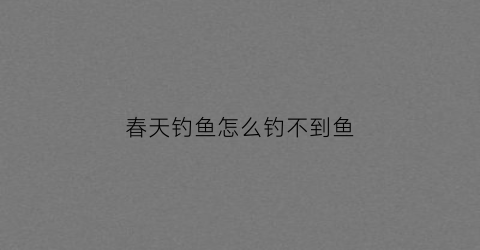 春天钓鱼怎么钓不到鱼(春季钓不到鱼怎么回事)