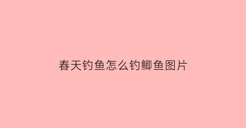 “春天钓鱼怎么钓鲫鱼图片(春天钓鱼有哪些技巧)