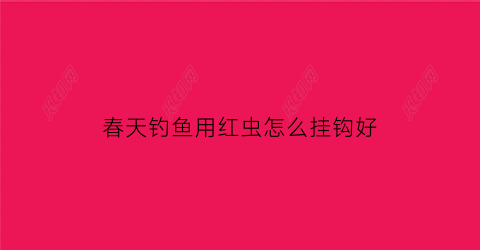春天钓鱼用红虫怎么挂钩好(野钓红虫怎么挂钩)