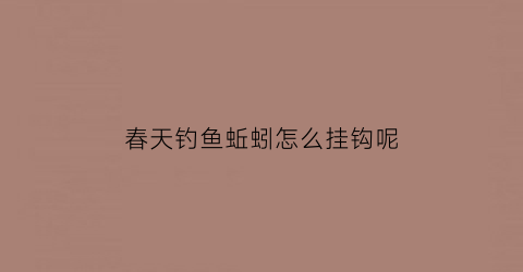 春天钓鱼蚯蚓怎么挂钩呢(钓蚯蚓怎么挂钩最好)